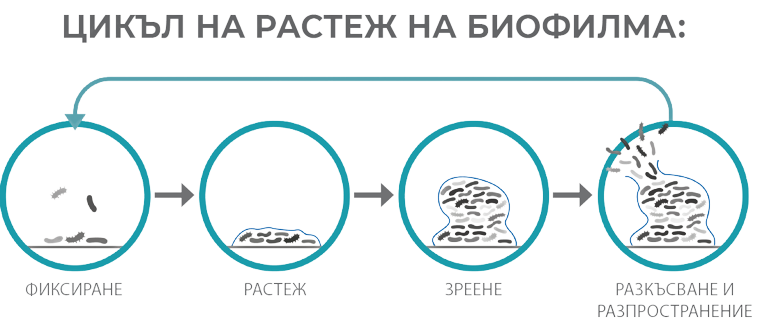 Biokom Trendafilov